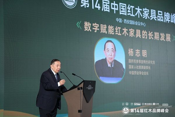 國務(wù)院參事室特邀研究員、國家人社部原副部長、中國勞動學(xué)會會長楊志明發(fā)表演講